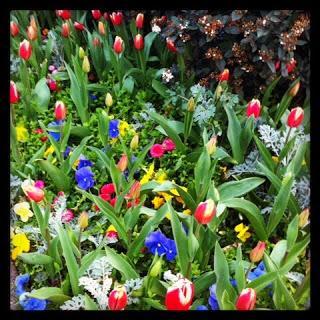 Un peu de moi sur Instagram ... Ma semaine en photos ! Part XXXIII Un peu de moi sur Instagram ... Ma semaine en photos ! Part XXXIII