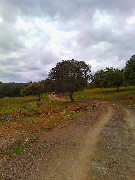 Trail World Tour, Via de la Plata: l'Andalousie en photos