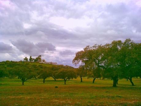 Trail World Tour, Via de la Plata: l'Andalousie en photos