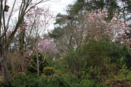 gb 30 mars 2014 005.jpg