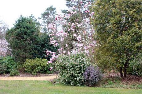 gb 30 mars 2014 026.jpg