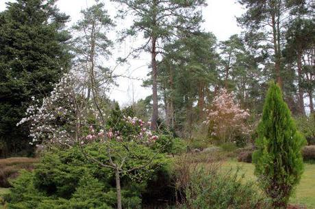 gb 30 mars 2014 181.jpg