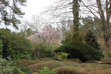 gb 30 mars 2014 188.jpg