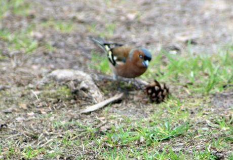 gb 30 mars 2014 135.jpg