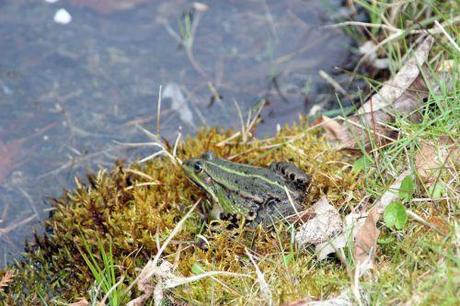 gb 30 mars 2014 057.jpg