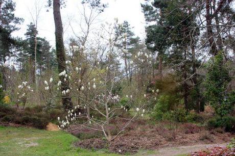 gb 30 mars 2014 085.jpg