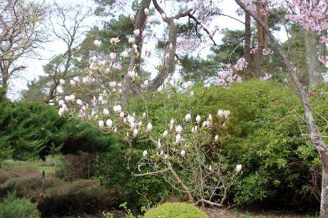 gb 30 mars 2014 006.jpg