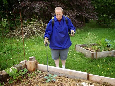 Prévenir et guérir au jardin