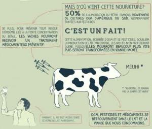 OGM et traitements préventifs pour les vaches et pour nous