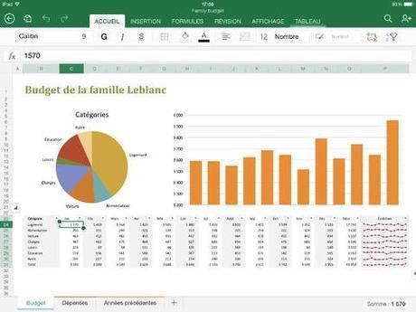 Excel iPad