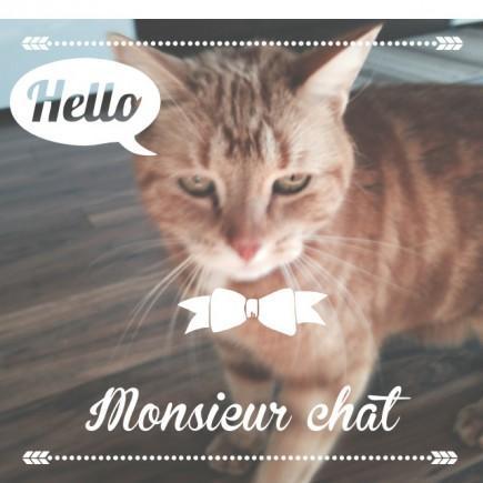 Faites surgir la designer photo en vous en un doigté! test_Rhonna Designs