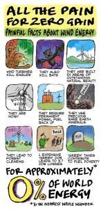 Les éoliennes, catastrophes écologiques