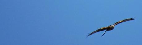 Inventer en allant ...