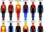 carte corporelle émotions révélée étude