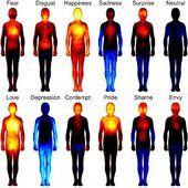 La carte corporelle de nos émotions révélée par une étude