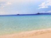 douche Sirop Paradis Terre Cocagne.