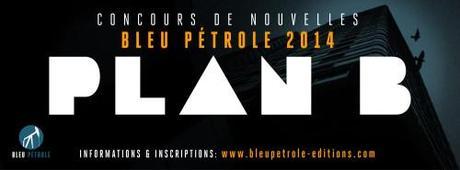 concours 2014-bleupetrole-planb