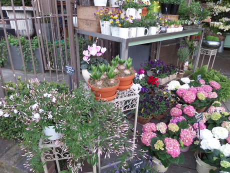 Fleuriste Londres Nat et nature Balade sous le soleil londonien