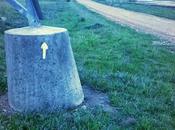 Quelques images Merida