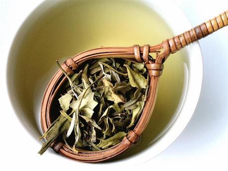 Bienfaits du thé (© Bienfaits du thé)