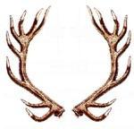 « Moi, porter les cornes, ça me fout les boules », l’histoire du cocu le plus véner de l’histoire de France