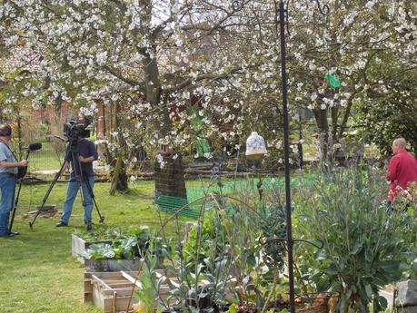 France Télévisions est venu filmer mon jardin !