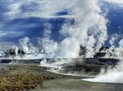 troupeaux bisons, d'élans... désertent Yellowstone.