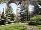 petit pays printemps