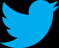 Twitter_logo1-369x300