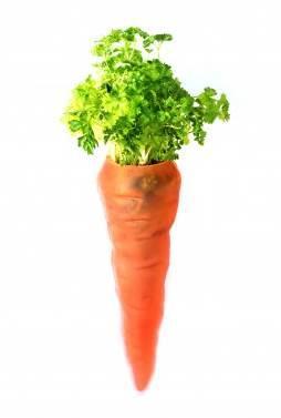 100% certifié MyDéco du mois d’avril