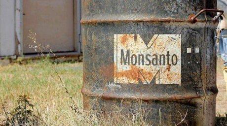Monsanto veut contrôler le business des abeilles