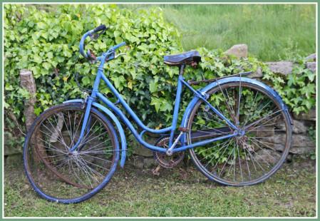 la-bicyclette-bleue-1345323328-1334974.jpg