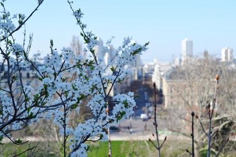 chaumont, buttes, parc, paris, park