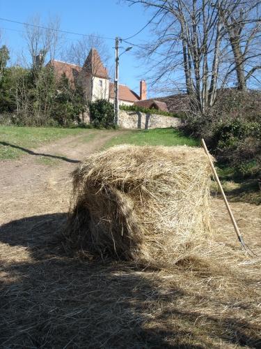 foin, botte, campagne, hay, haystack, country