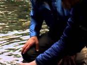 Frontsidefly kazakhstan