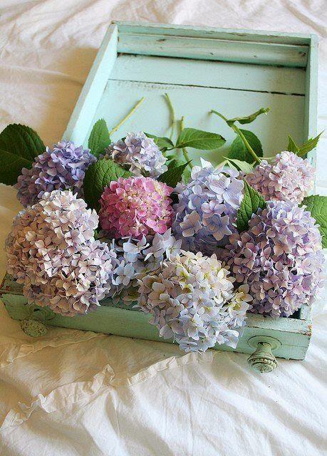 Puisque les pastels sont incontournables...