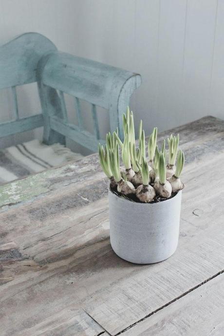 Puisque les pastels sont incontournables...