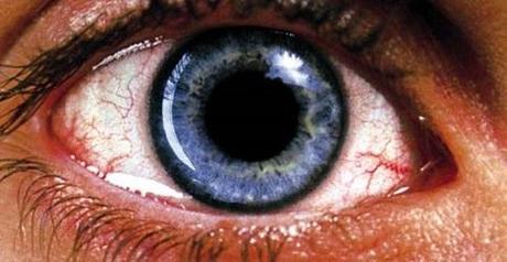 Culte du dimanche : Requiem for a Dream