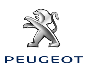 Peugeot klaxon personnalisé
