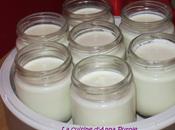 Yaourt maison nature lait brebis