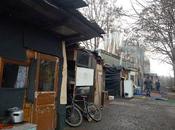 L'homme campement...