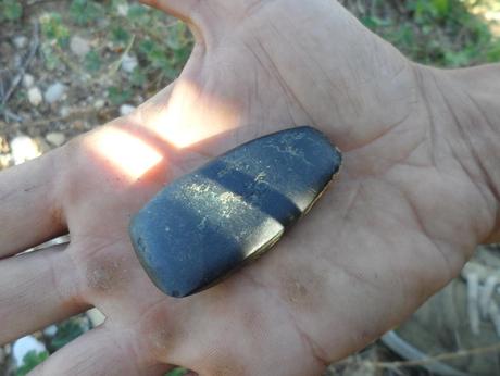 Album photos Vendanges  2013