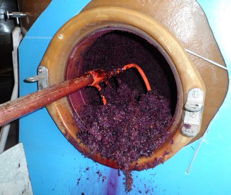 Album photos Vendanges  2013