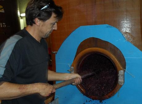 Album photos Vendanges  2013