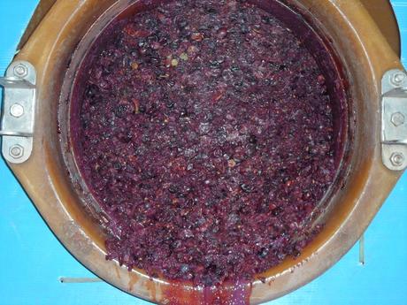 Album photos Vendanges  2013