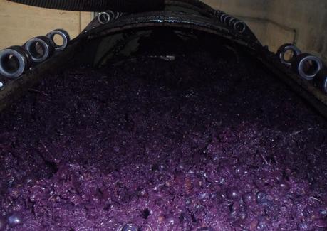 Album photos Vendanges 2012