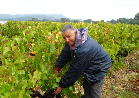 Album photos Vendanges 2012