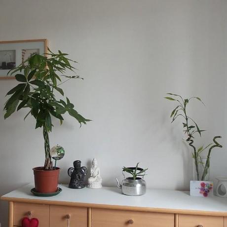 {Lifestyle} Mes p’tits bonheurs