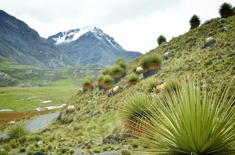 voyage perou andes