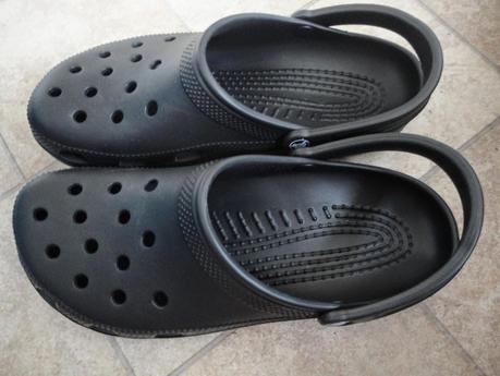 pour sortir le chien